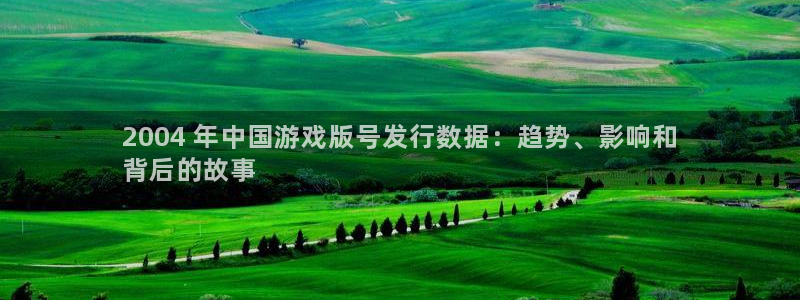 新城平台注册公司流程及费用