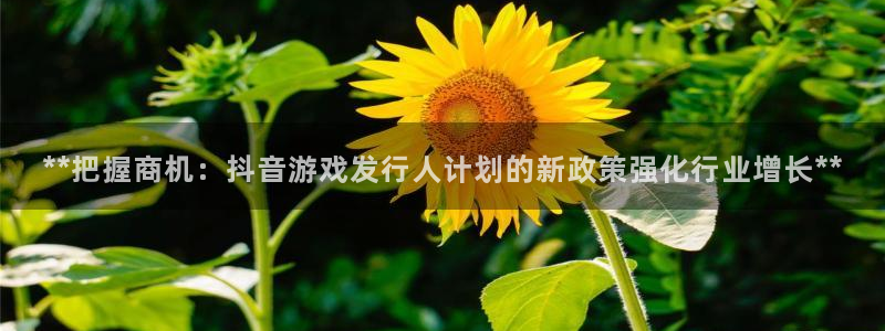 新城平台公司是国企吗