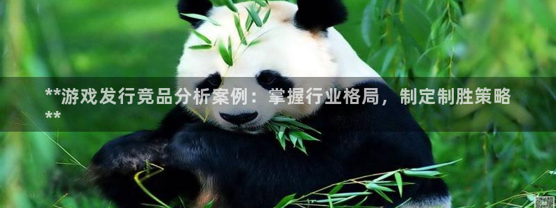新城平台是干嘛的公司有哪些