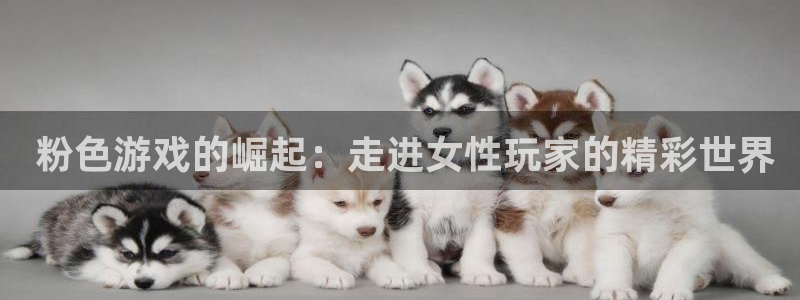 新城平台入.新城平台.全国联网是什么意思