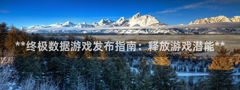 新城平台入.新城平台.全国联网是什么意思