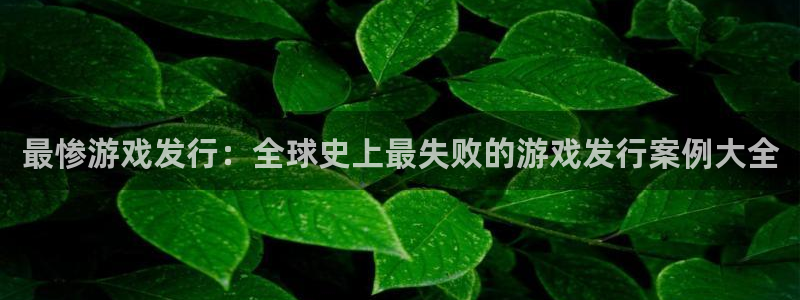 新城平台登录入口官网下载app