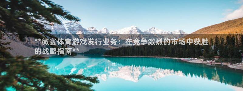 新城平台注册登录地址在哪