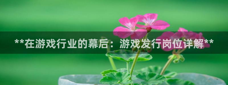 新城平台注册登录地址在哪