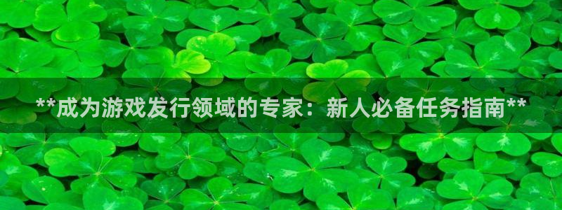 新城平台注册资金多少