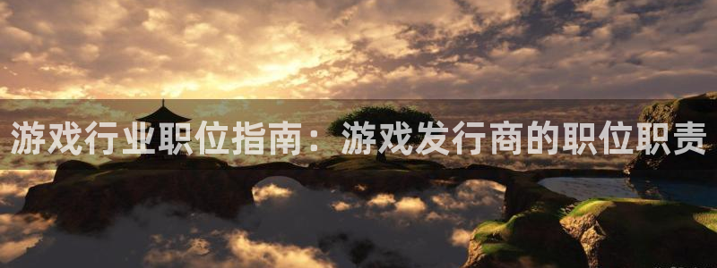 新城平台是干嘛的公司啊