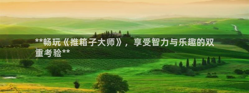 新城平台注册登录地址