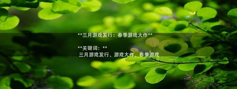 新城平台代理注册公司
