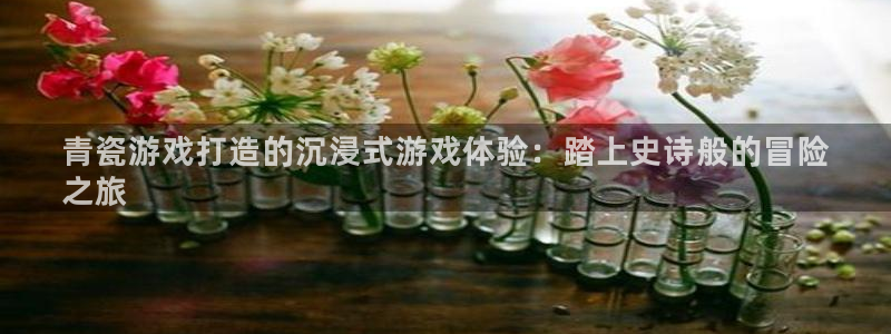 新城平台平台