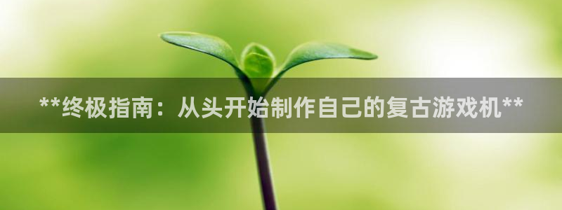 新城平台登录入口