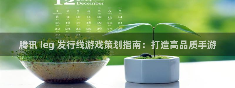 新城平台登录入口官网网址查询