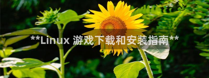 新城平台线路登录不上去