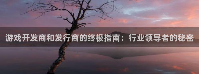 新城平台登录入口官网下载手机版