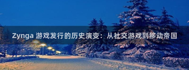 新城平台注册登录地址怎么填