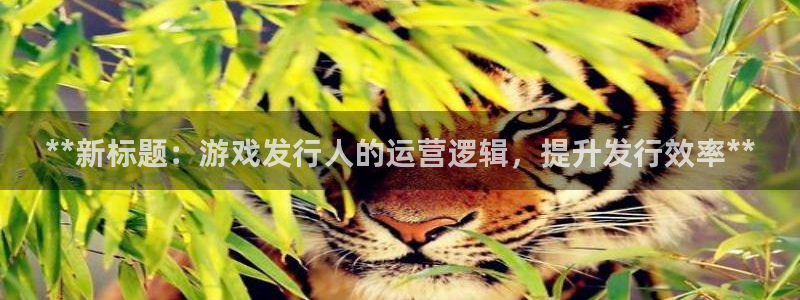 新城平台在线登陆