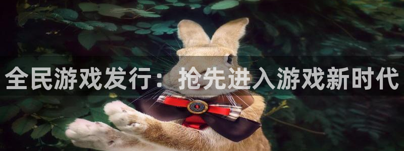 新城平台平台
