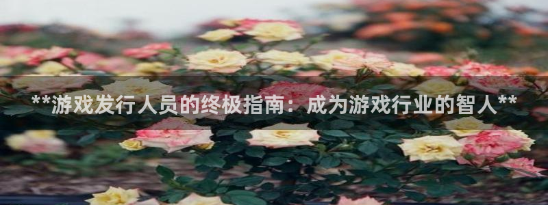 新城平台官网首页