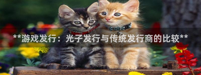新城平台官网注册入口