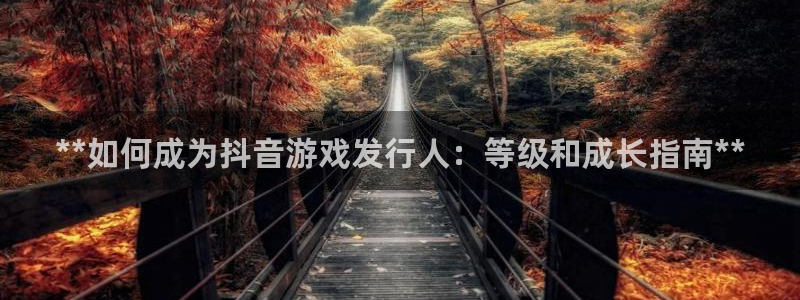 新城平台是干嘛的公司