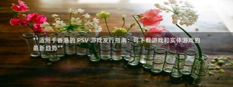 新城平台线路登录不上去怎么回事呀