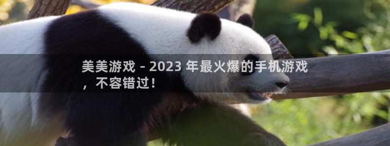 新城平台登录入口官网下载