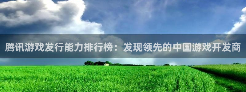 新城平台公司