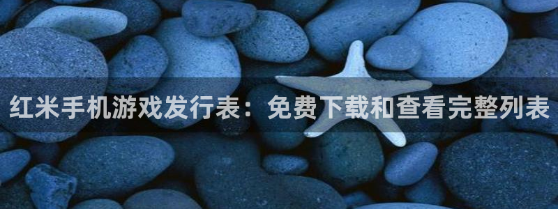 新城平台代理注册公司