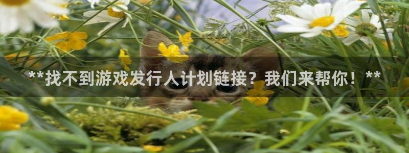 新城平台足7O777
