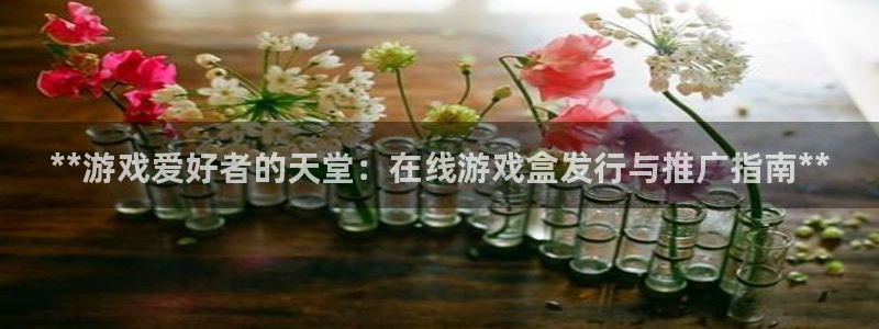 新城平台注册网址