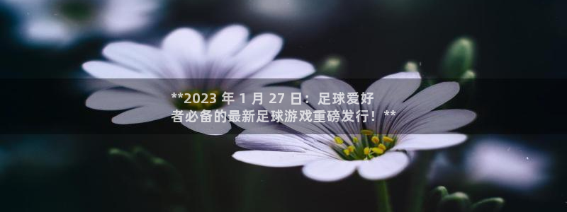 新城平台新注册