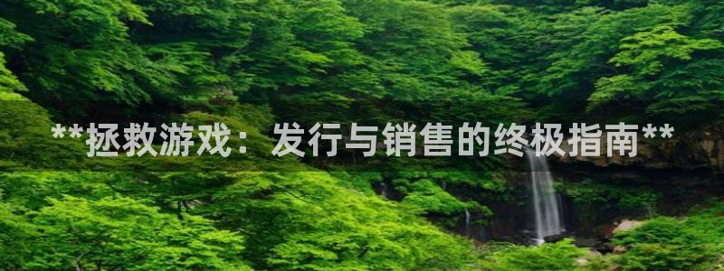 新城平台登录入口官网查询信息