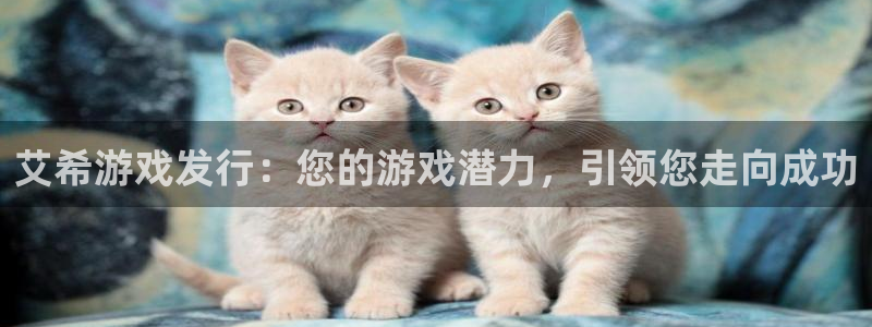 新城平台注册网址查询