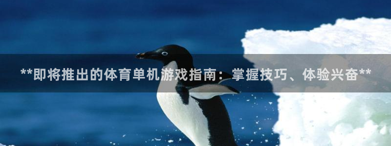 新城平台注册公司流程视频
