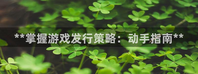 新城平台登录密码忘了怎么办
