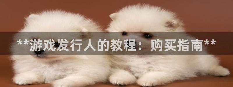 新城平台致7O777