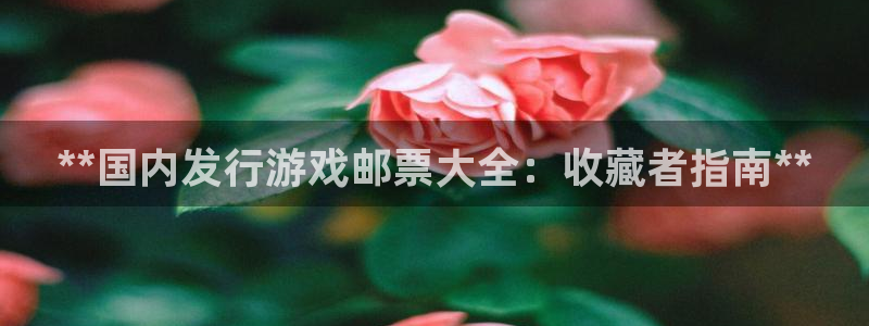 新城平台登录入口官网查询：**国内发行游戏邮票大全：收藏者指南**