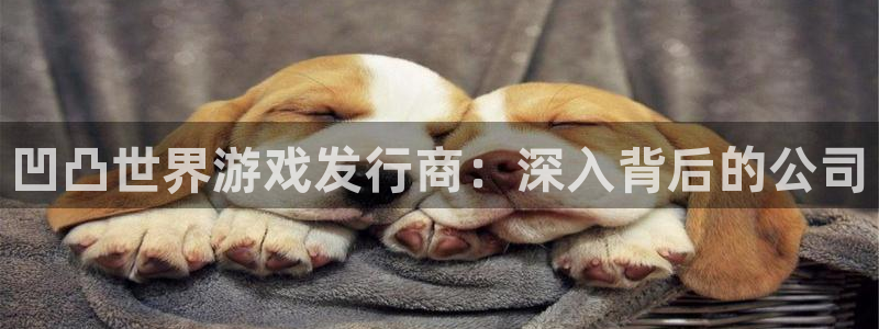 新城平台登录入口网站：凹凸世界游戏发行商：深入背后的公司