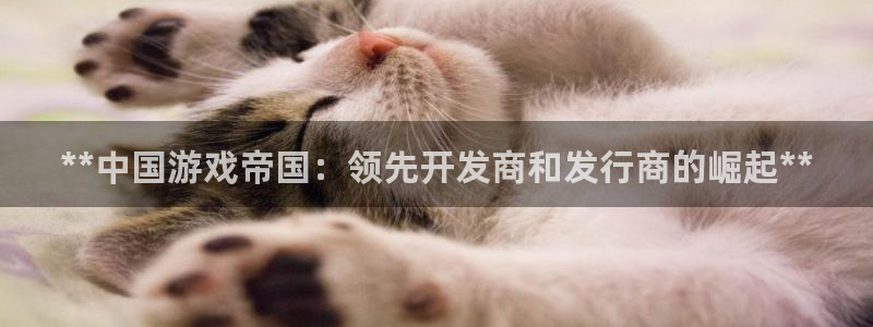 新城平台注册登录地址是什么：**中国游戏帝国：领先开发商和发行商的崛起**