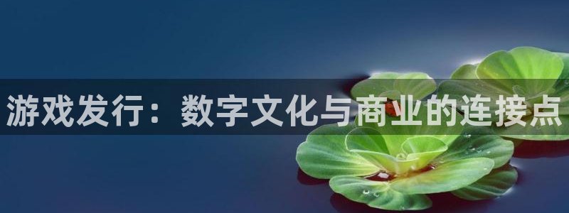 新城平台官网首页登录