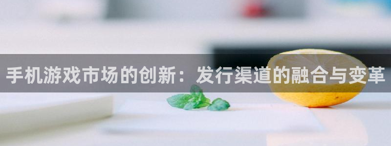 新城平台注册公司流程