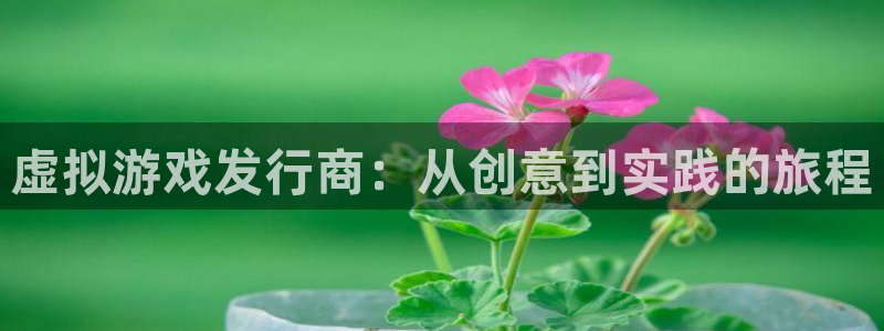 新城平台官网首页入口