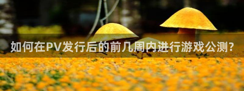 新城平台注册登录地址是什么