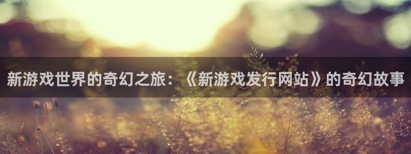 新城平台登录入口网站