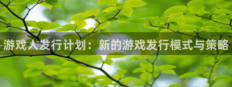 新城平台登录入口官网网址