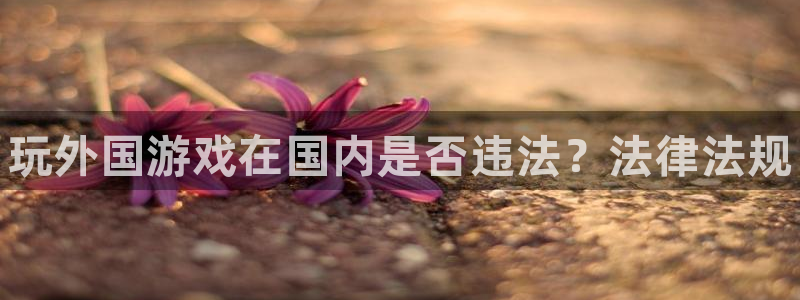 新城平台主管
