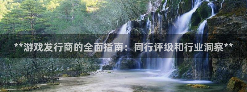 新城平台登录：**游戏发行商的全面指南：同行评级和行业洞察**