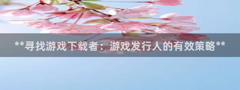 新城平台登录入口官网网址是多少：**寻找游戏下载者：游戏发行人的有效策略**