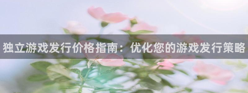 新城平台线路登录不上去怎么回事呢：独立游戏发行价格指南：优化您的游戏发行策略