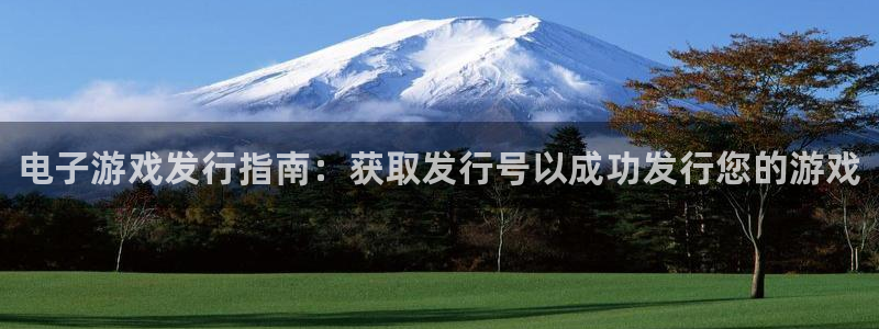 新城平台官网首页登录：电子游戏发行指南：获取发行号以成功发行您的游戏