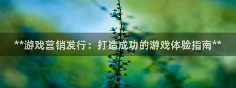 新城平台记7O777